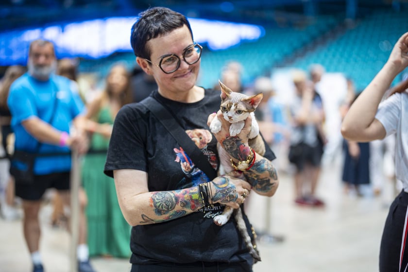 Międzynarodowa wystawa kotów rasowych w hali Orbita we Wrocławiu, 7-8 września 2024